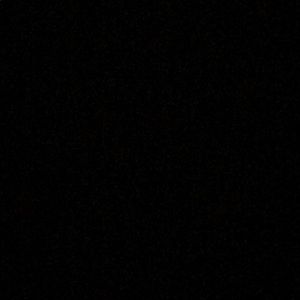 Meet your Posher, Zoe